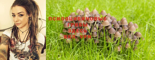 герыч Алексеевка